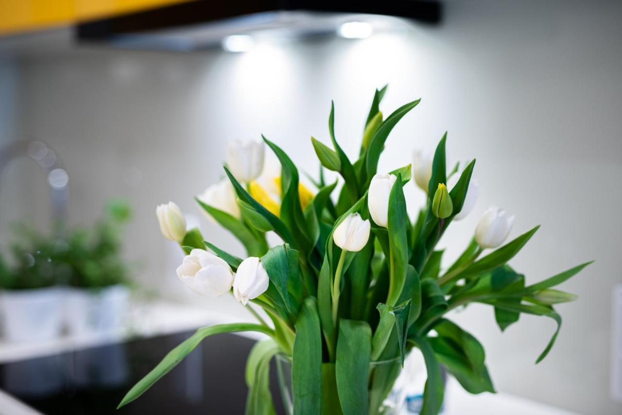 Apartamenty Tespis - Francuska Atal Park II Katowice Luaran gambar